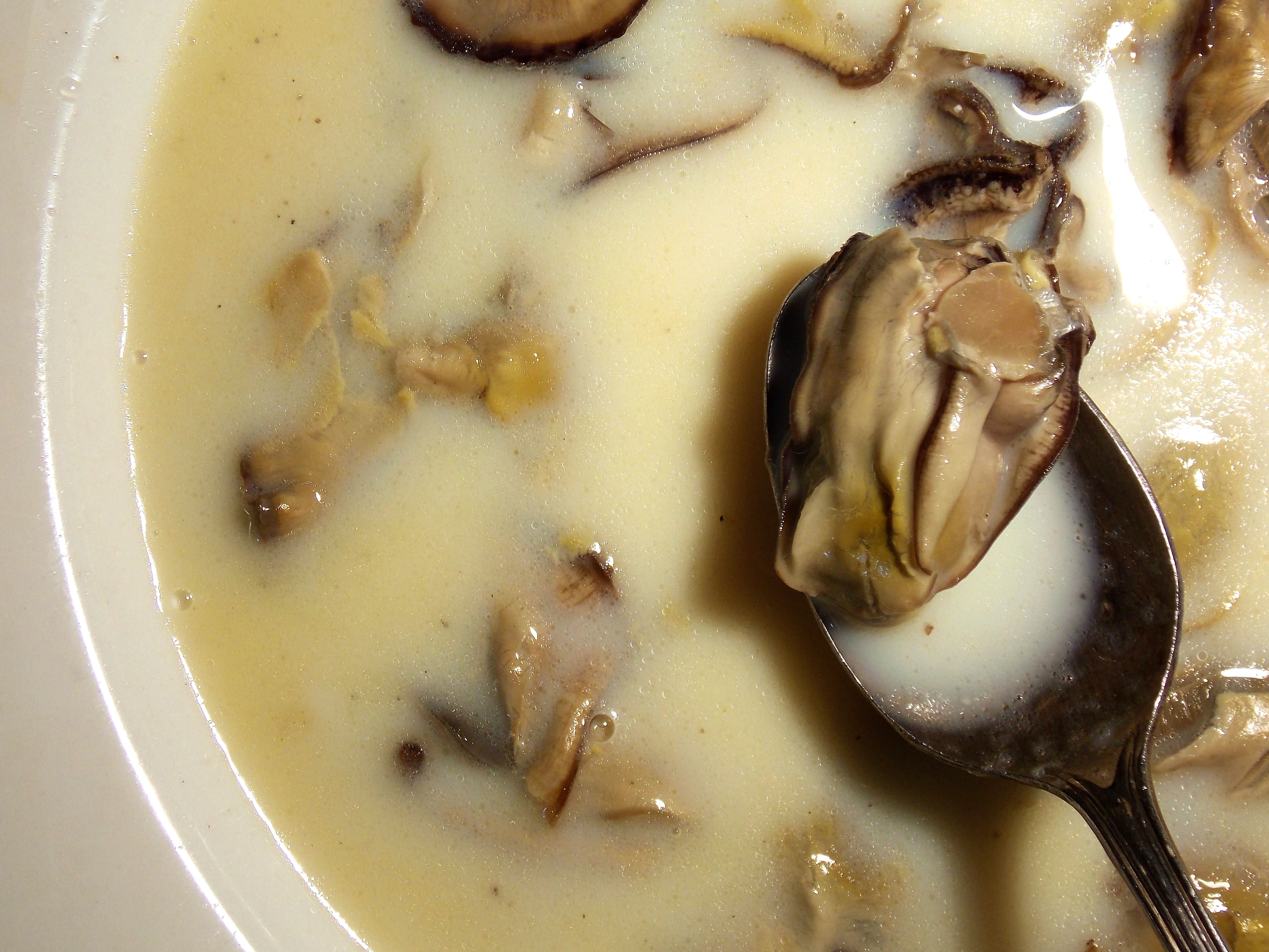 oyster chowder