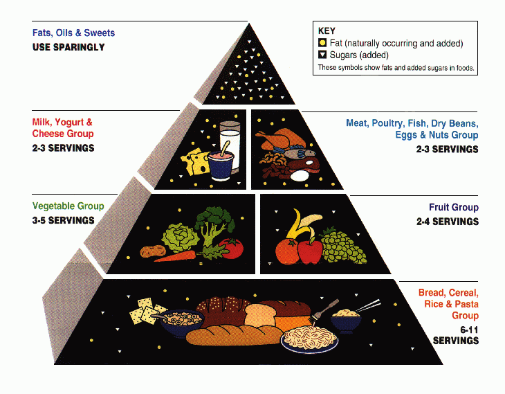 Food Guide Pyramid graphic